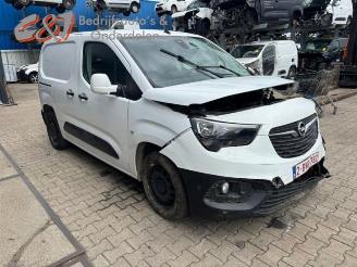 Opel Combo Combo Cargo, Van, 2018 1.5 CDTI 100 picture 13