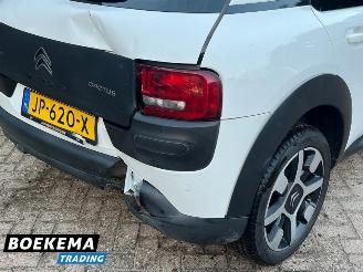 Citroën C4 cactus 1.2 PureTech Shine Virtual Navi Climate Cruise PDC picture 8