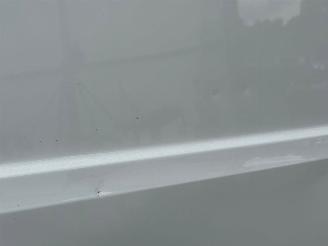 MAN TGE E-TGE 36 kWh Automaat 71.458 km Navi Clima picture 30