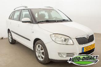 Skoda Fabia Combi 1.4 TDI Airco Greenline picture 2