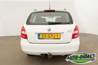 Skoda Fabia Combi 1.4 TDI Airco Greenline picture 36