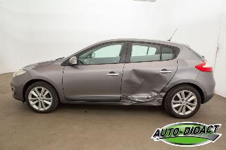 Renault Mégane 1.6 Celsium picture 35