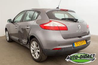 Renault Mégane 1.6 Celsium picture 3