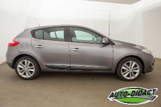 Renault Mégane 1.6 Celsium picture 36