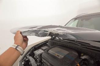 Hyundai Nexo FCEV Plus Pack Leer picture 44