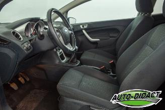 Ford Fiesta 1.6 TDCi Clima ECOnetic Trend picture 21