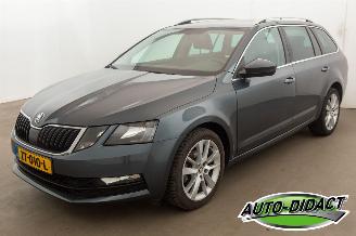 škoda osobní automobily Skoda Octavia 1.0 TSI Automaat Clima Navi Greentech Clever Edition 2019/8