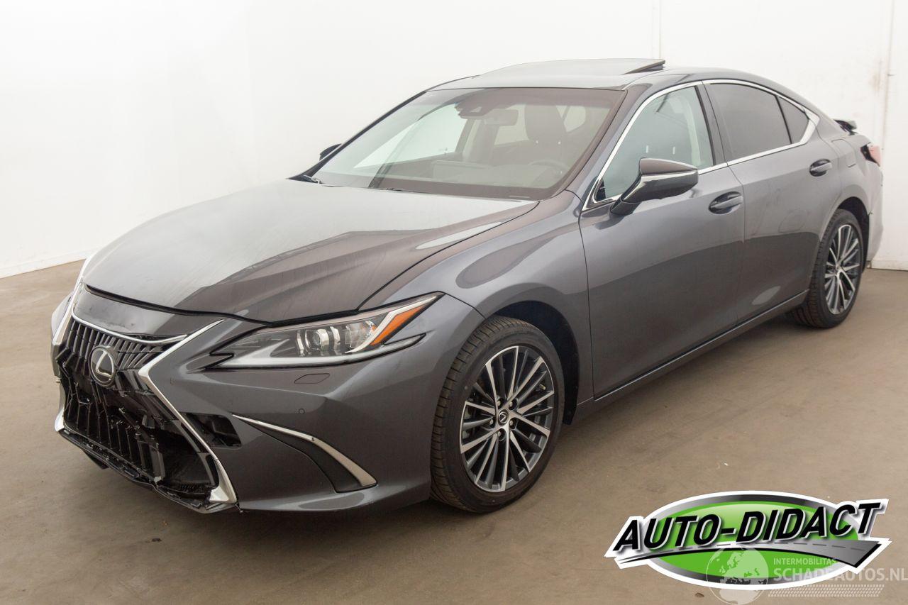 Lexus ES 300 Hybrid 33.094 km Carpas Clima Navi Leder Camera
