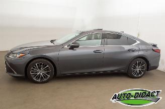 Lexus ES 300 Hybrid 33.094 km Carpas Clima Navi Leder Camera picture 46