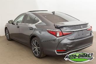 Lexus ES 300 Hybrid 33.094 km Carpas Clima Navi Leder Camera picture 3