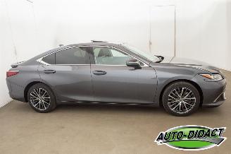 Lexus ES 300 Hybrid 33.094 km Carpas Clima Navi Leder Camera picture 47