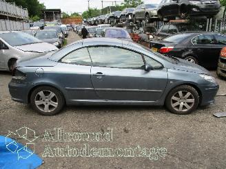 Peugeot 307 307 CC (3B) Cabrio 2.0 16V (EW10J4(RFN)) [100kW]  (10-2003/06-2005) picture 7