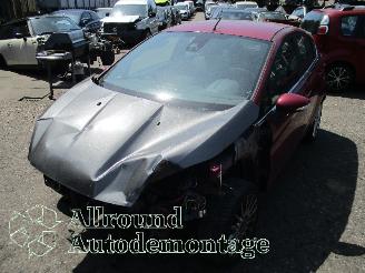 demontáž osobní automobily Ford Fiesta Fiesta 6 (JA8) Hatchback 1.0 EcoBoost 12V 100 (SFJA(Euro 5)) [74kW]  (=
01-2013/06-2017) 2013