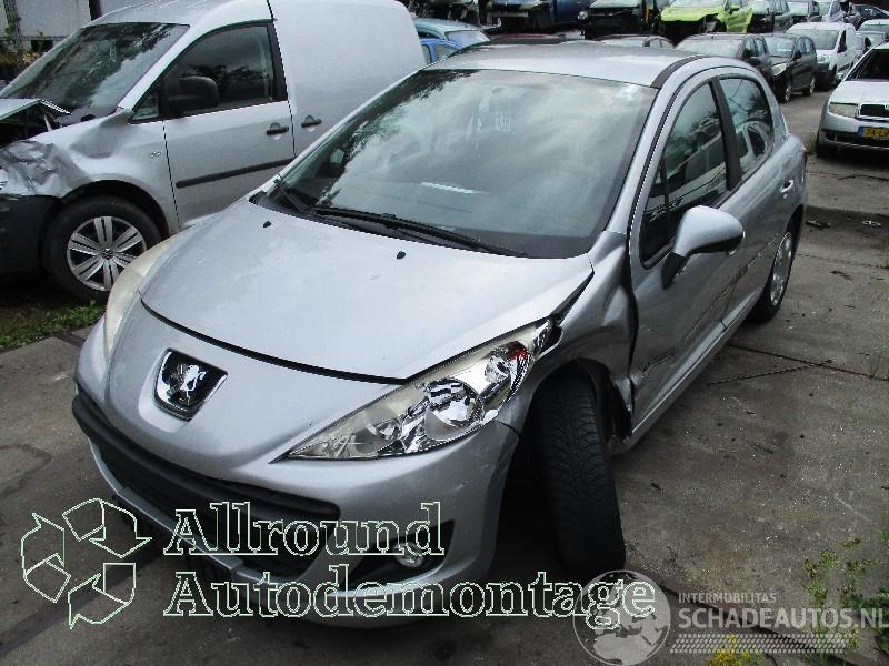 Peugeot 207 207/207+ (WA/WC/WM) Hatchback 1.4 16V Vti (EP3C(8FP)) [70kW]  (06-2007=
/10-2013)