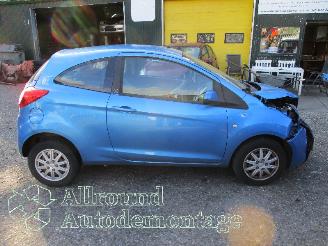 Ford Ka Ka II Hatchback 1.2 (169.A.4000(Euro 4; Euro 5)) [51kW]  (10-2008/05-2=
016) picture 7