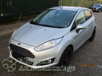 rozbiórka samochody osobowe Ford Fiesta Fiesta 6 (JA8) Hatchback 1.0 EcoBoost 12V 100 (SFJA(Euro 5)) [74kW]  (=
01-2013/06-2017) 2014