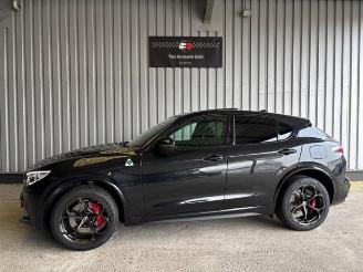 Vaurioauto  passenger cars Alfa Romeo Stelvio Quadrifoglio Q4 Carbon / Pano / VOLL 2022/9