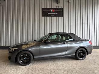 ojeté vozy osobní automobily BMW 2-serie 0d Advantage Cabriolet LED / Navigation 2018/9