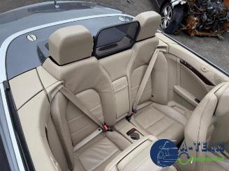 Mercedes E-klasse E (R207), Cabrio, 2010 / 2017 E-200 CGI 16V BlueEfficiency picture 11
