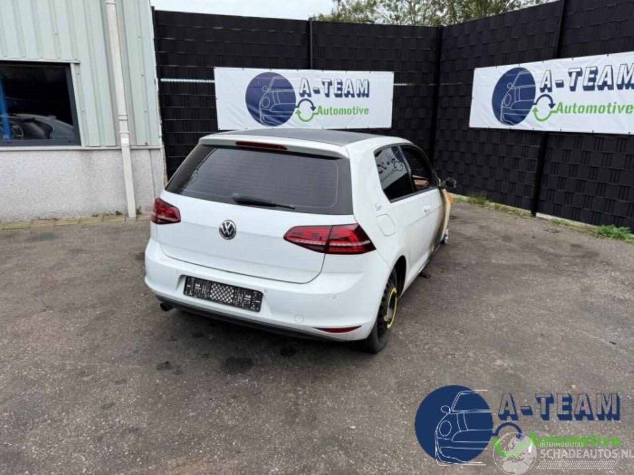Volkswagen Golf Golf VII (AUA), Hatchback, 2012 / 2021 1.6 TDI 16V