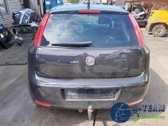 Fiat Punto Punto III (199), Hatchback, 2012 0.9 TwinAir Turbo 100 picture 14