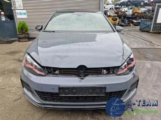 Volkswagen Golf Golf VII (AUA), Hatchback, 2012 / 2021 2.0 GTI TCR 16V picture 10