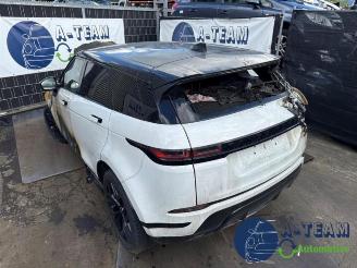  Land Rover Range Rover Range Rover Evoque II (LZC/LZS/LZH), SUV, 2018 2.0 P250 MHEV 16V AWD 2019/8