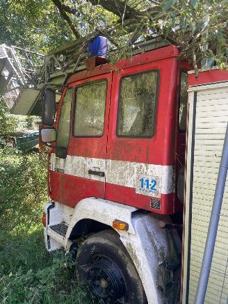 MAN  15 LL picture 3