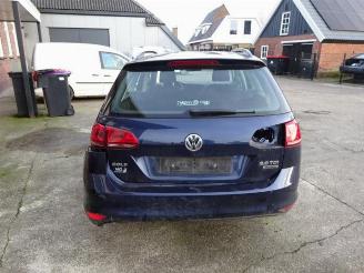 Volkswagen Golf Golf VII Variant (AUVV), Combi, 2013 / 2021 2.0 TDI 4Motion 16V picture 4