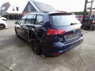 Volkswagen Golf Golf VII Variant (AUVV), Combi, 2013 / 2021 2.0 TDI 4Motion 16V picture 3
