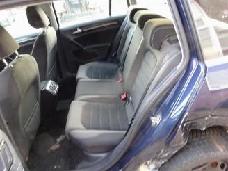 Volkswagen Golf Golf VII Variant (AUVV), Combi, 2013 / 2021 2.0 TDI 4Motion 16V picture 13