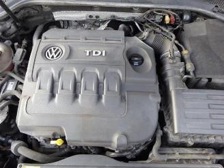 Volkswagen Golf Golf VII Variant (AUVV), Combi, 2013 / 2021 2.0 TDI 4Motion 16V picture 7