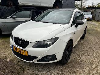 Seat Ibiza 1.9 TDI picture 2