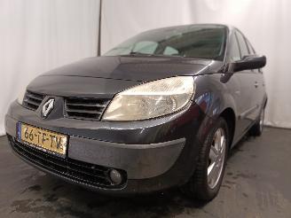 uszkodzony samochody osobowe Renault Scenic Grand Scénic II (JM) MPV 2.0 16V (F4R-770(Euro 4)) [99kW]  (04-2004/=
06-2009) 2006/8