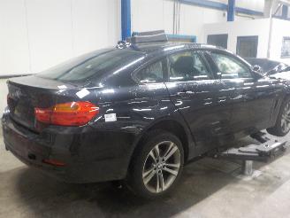 BMW 4-serie 4 serie Gran Coupe (F36) Liftback 420i 2.0 Turbo 16V (N20-B20B) [135kW=
]  (03-2014/02-2017) picture 3
