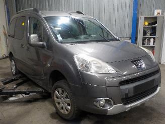 Peugeot Partner Partner Tepee (7A/B/C/D/E/F/G/J/P/S) MPV 1.6 VTI 16V (EP6CDTR(5FK)) [7=
2kW]  (08-2010/12-2018) picture 2