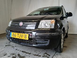 krockskadad bil auto Fiat Panda Panda (169) Hatchback 1.2, Classic (169.A.4000(Euro 5)) [51kW]  (03-20=
10/08-2013) 2012/2