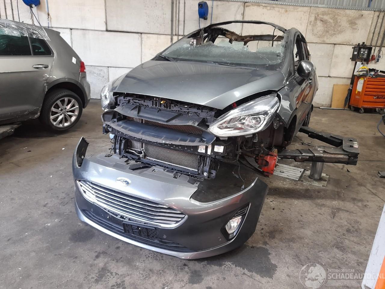 Ford Fiesta Fiesta 7 Hatchback 1.0 EcoBoost 12V 100 (SFJK) [74kW]  (05-2017/07-202=
3)