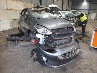 Ford Fiesta Fiesta 7 Hatchback 1.0 EcoBoost 12V 100 (SFJK) [74kW]  (05-2017/07-202=
3) picture 2