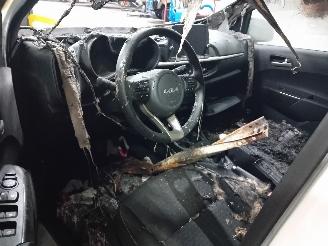 Kia Picanto Picanto (JA) Hatchback 1.0 12V (G3LD) [49kW]  (03-2017/...) picture 5