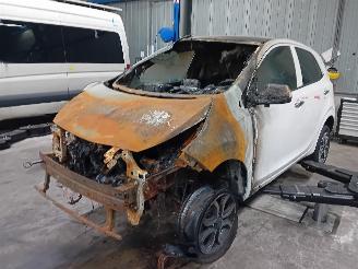 demontáž osobní automobily Kia Picanto Picanto (JA) Hatchback 1.0 12V (G3LD) [49kW]  (03-2017/...) 2023