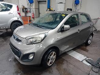 demontáž osobní automobily Kia Picanto Picanto (TA) Hatchback 1.0 12V (G3LA) [51kW]  (05-2011/06-2017) 2013
