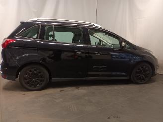 Ford Grand C-Max Grand C-Max (DXA) MPV 1.0 Ti-VCT EcoBoost 12V 125 (M1DA(Euro 5)) [92kW=
]  (10-2012/06-2019) picture 6