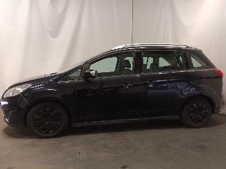 Ford Grand C-Max Grand C-Max (DXA) MPV 1.0 Ti-VCT EcoBoost 12V 125 (M1DA(Euro 5)) [92kW=
]  (10-2012/06-2019) picture 3