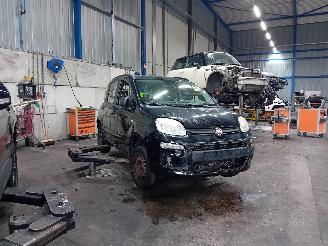 Fiat Panda Panda/Pandina (312) Hatchback 0.9 TwinAir Turbo 85 (312.A.2000) [63kW]=
  (02-2012/...) picture 2