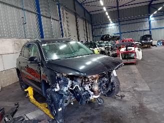 Volkswagen Tiguan Tiguan (5N1/2) SUV 1.4 TSI 16V 4Motion (BWK(Euro 5)) [110kW]  (09-2007=
/07-2018) picture 2