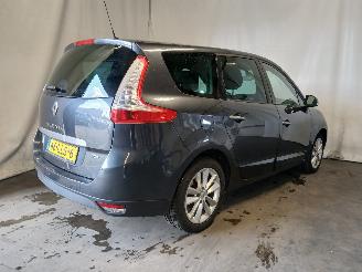 Renault Scenic Grand Scénic III (JZ) MPV 1.4 16V TCe 130 (H4J-700(H4J-A7)) [96kW]  =
(02-2009/12-2016) picture 5