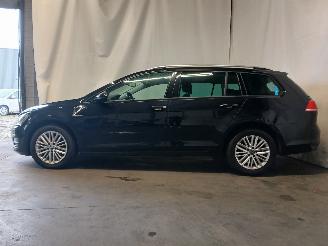 Volkswagen Golf Golf VII Variant (AUVV) Combi 1.6 TDI BlueMotion 16V (CRKB) [81kW]  (0=
5-2013/12-2020) picture 4