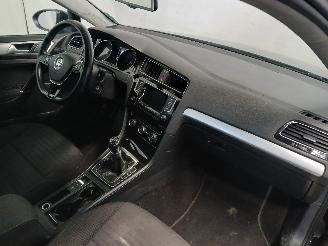 Volkswagen Golf Golf VII Variant (AUVV) Combi 1.6 TDI BlueMotion 16V (CRKB) [81kW]  (0=
5-2013/12-2020) picture 8