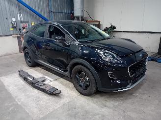 Ford Puma Puma SUV 1.0 Ti-VCT EcoBoost mHEV 12V (B7JB) [92kW]  (09-2019/...) picture 2